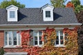 Brick house with ivy in fall colors Royalty Free Stock Photo