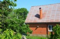 Brick house with metal roof damaged paint color by sun in the garden