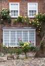 A brick house with roses on the front porch, seen in Rye, Kent, UK. Royalty Free Stock Photo