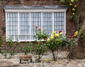 A brick house with roses on the front porch, seen in Rye, Kent, UK. Royalty Free Stock Photo