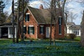 Brick House, Scilla Ground Cover Royalty Free Stock Photo