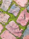 Brick moss in Square Royalty Free Stock Photo