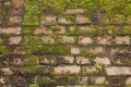 Brick Moss Wall Royalty Free Stock Photo