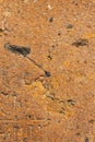 Brick from old pink tuff texture background macro, selective focus Royalty Free Stock Photo