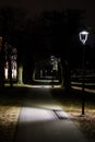 Brick path for pedestrians near beautiful old trees with light lanterns Royalty Free Stock Photo