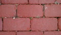 Brick Path Texture Royalty Free Stock Photo