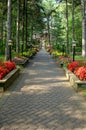 Brick pathway