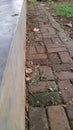 Brick Pathway with Leaves and Grass Royalty Free Stock Photo