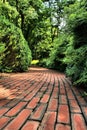 Brick pathway surrounded by bushes
