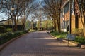 Brick Paved Walkways Downtown Greenville SC