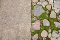 Brick pavement blocks. Cobbled pavement. Green moss on old stone footpath. Road pavement, grass green. Moss trying to grow inbetwe