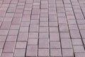Brick Pavement Royalty Free Stock Photo
