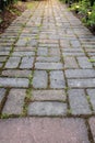 Brick Pavers Garden Path Royalty Free Stock Photo