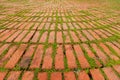 Brick Pavers Outlined by Green Plants Growing Between Royalty Free Stock Photo