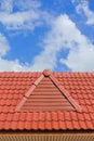 Brick roof Royalty Free Stock Photo