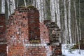 Brick ruins, remains of abandoned building, crumbling red brick walls in depths of the winter forest