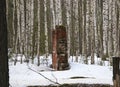 Brick ruins, remains of abandoned building, crumbling red brick walls in depths of the winter forest