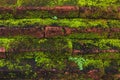 Brick rural wall covered with moss Royalty Free Stock Photo