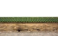 Brick sandstone wall with green glazed roof tiles