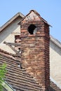 Brick smoke stack of an old house Royalty Free Stock Photo