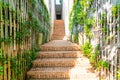 brick stair step in garden Royalty Free Stock Photo