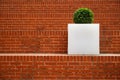 Brick steps with a single green plant in blank white planter