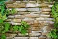 Brick stone wall covered by ivy texture, background Royalty Free Stock Photo