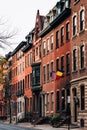 Brick townhomes near Rittenhouse Square in Philadelphia, Pennsylvania Royalty Free Stock Photo