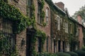 brick townhouses with ivycovered walls Royalty Free Stock Photo