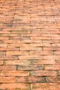 Brick walk way in garden as background Royalty Free Stock Photo