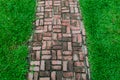 Brick walk way on the green field background Royalty Free Stock Photo