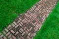 Brick walk way on the green field background Royalty Free Stock Photo