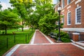 Brick walkway and building at John Hopkins University, Baltimore