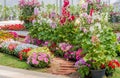 Brick walkway in flower garden