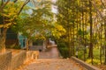 Brick walkway through park like setting Royalty Free Stock Photo