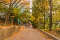 Brick walkway through park like setting Royalty Free Stock Photo