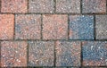 Brick Walkway texture Royalty Free Stock Photo