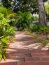 Sunlit brick path in tropical garden Royalty Free Stock Photo