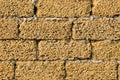 Brick wall Royalty Free Stock Photo