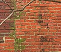 Brick wall of an abandoned building in disrepair