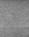 Brick wall background in black and white effect.