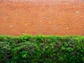 Brick wall background Royalty Free Stock Photo