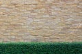 Brick wall background with green Royalty Free Stock Photo