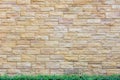 Brick wall background with green leaf floor Royalty Free Stock Photo