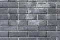 Brick wall. Black brick. Plastic wall imitation Royalty Free Stock Photo