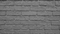 Brick wall in black and white spectrum.