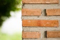 Brick wall and blurred green background