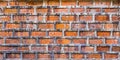 Brick Wall Royalty Free Stock Photo