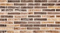 Brick Wall Royalty Free Stock Photo