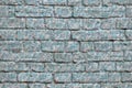 Brick wall building close-up. Background. Blank for designers